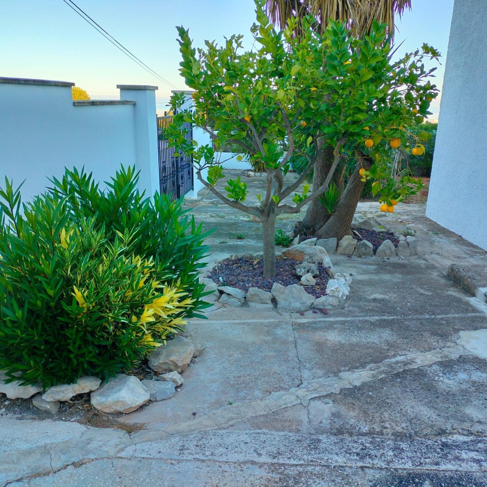 Casa Montgo *